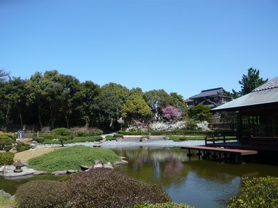 20120401-120401_11.jpg 20120401-120401_11.jpg