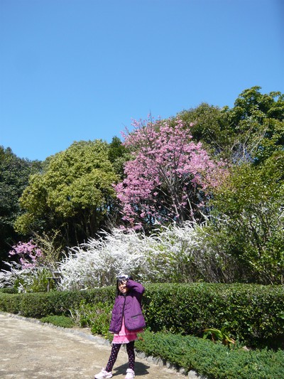 20120401-120401_4.jpg 20120401-120401_4.jpg