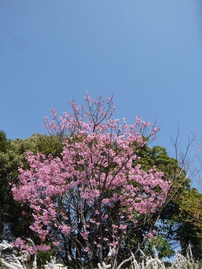 20120401-120401_7.jpg 20120401-120401_7.jpg