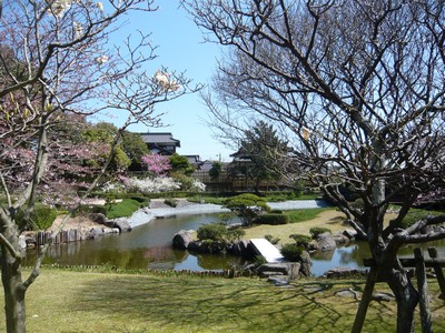 20120401-120401_8.jpg 20120401-120401_8.jpg