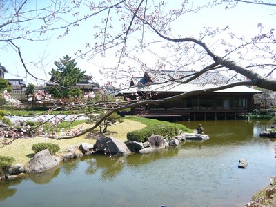 20120401-120401_9.jpg 20120401-120401_9.jpg