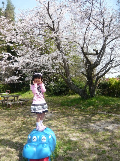 20120403-120402_10.jpg 20120403-120402_10.jpg