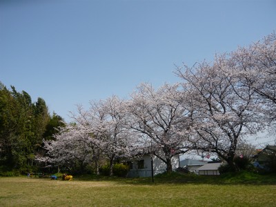 20120403-120402_13.jpg 20120403-120402_13.jpg