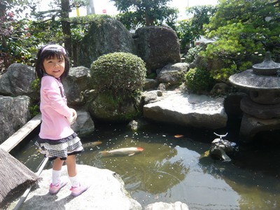 20120403-120402_3.jpg 20120403-120402_3.jpg