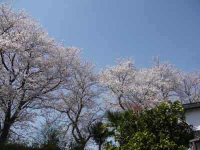 20120403-120402_5.jpg 20120403-120402_5.jpg