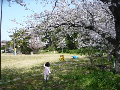 20120403-120402_6.jpg 20120403-120402_6.jpg