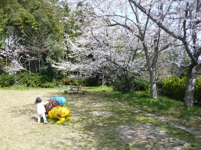 20120403-120402_7.jpg 20120403-120402_7.jpg