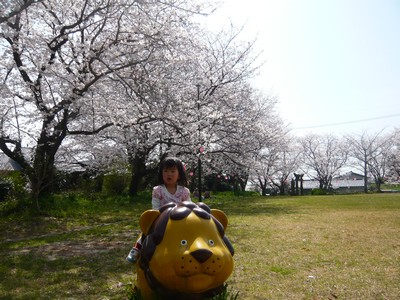 20120403-120402_9.jpg 20120403-120402_9.jpg