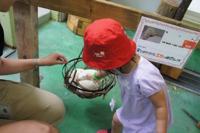 20120801-120730_10.jpg 20120801-120730_10.jpg