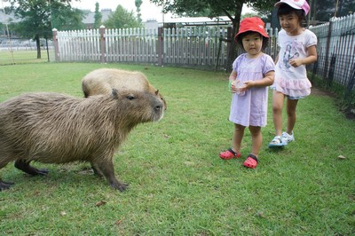 20120801-120730_11.jpg 20120801-120730_11.jpg