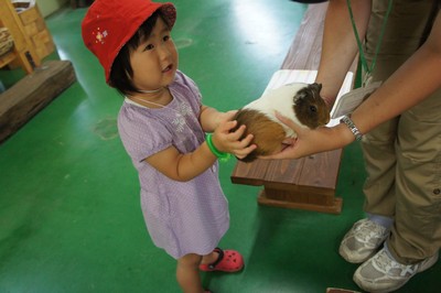 20120801-120730_12.jpg 20120801-120730_12.jpg