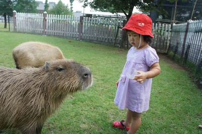 20120801-120730_14.jpg 20120801-120730_14.jpg