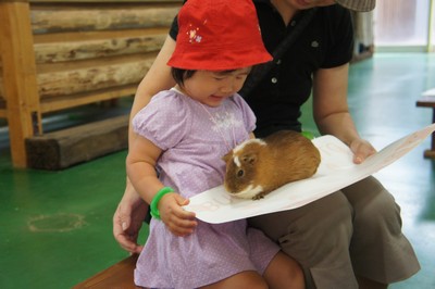 20120801-120730_15.jpg 20120801-120730_15.jpg