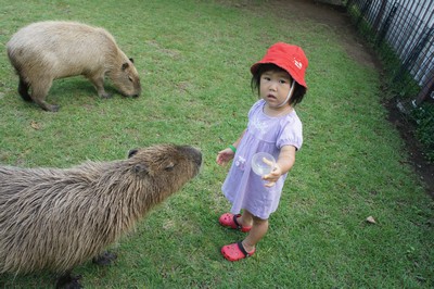 20120801-120730_16.jpg 20120801-120730_16.jpg