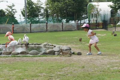 20120801-120730_19.jpg 20120801-120730_19.jpg