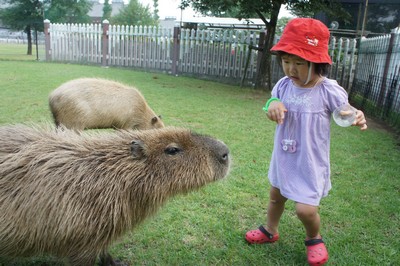 20120801-120730_21.jpg 20120801-120730_21.jpg