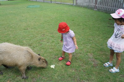 20120801-120730_7.jpg 20120801-120730_7.jpg