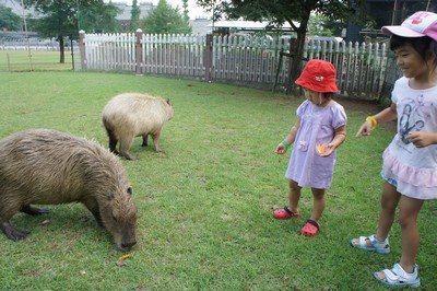 20120801-120730_8.jpg 20120801-120730_8.jpg