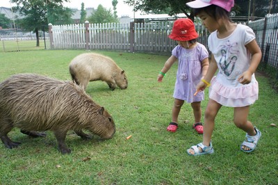 20120801-120730_9.jpg 20120801-120730_9.jpg