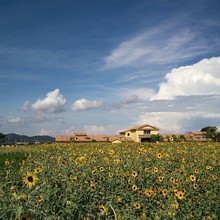 20120909-120808_12.jpg 20120909-120808_12.jpg