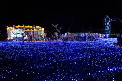 20130106-121228_11.jpg 20130106-121228_11.jpg