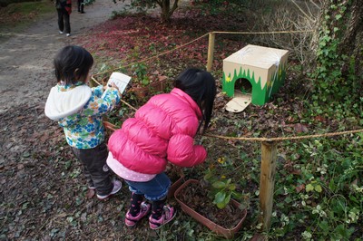 20130106-121228_20.jpg 20130106-121228_20.jpg