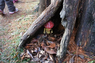 20130106-121228_21.jpg 20130106-121228_21.jpg