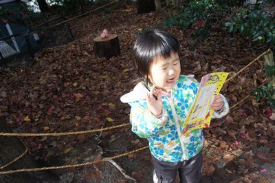 20130106-121228_22.jpg 20130106-121228_22.jpg